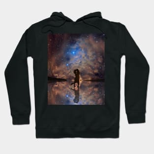 Impossible love Hoodie